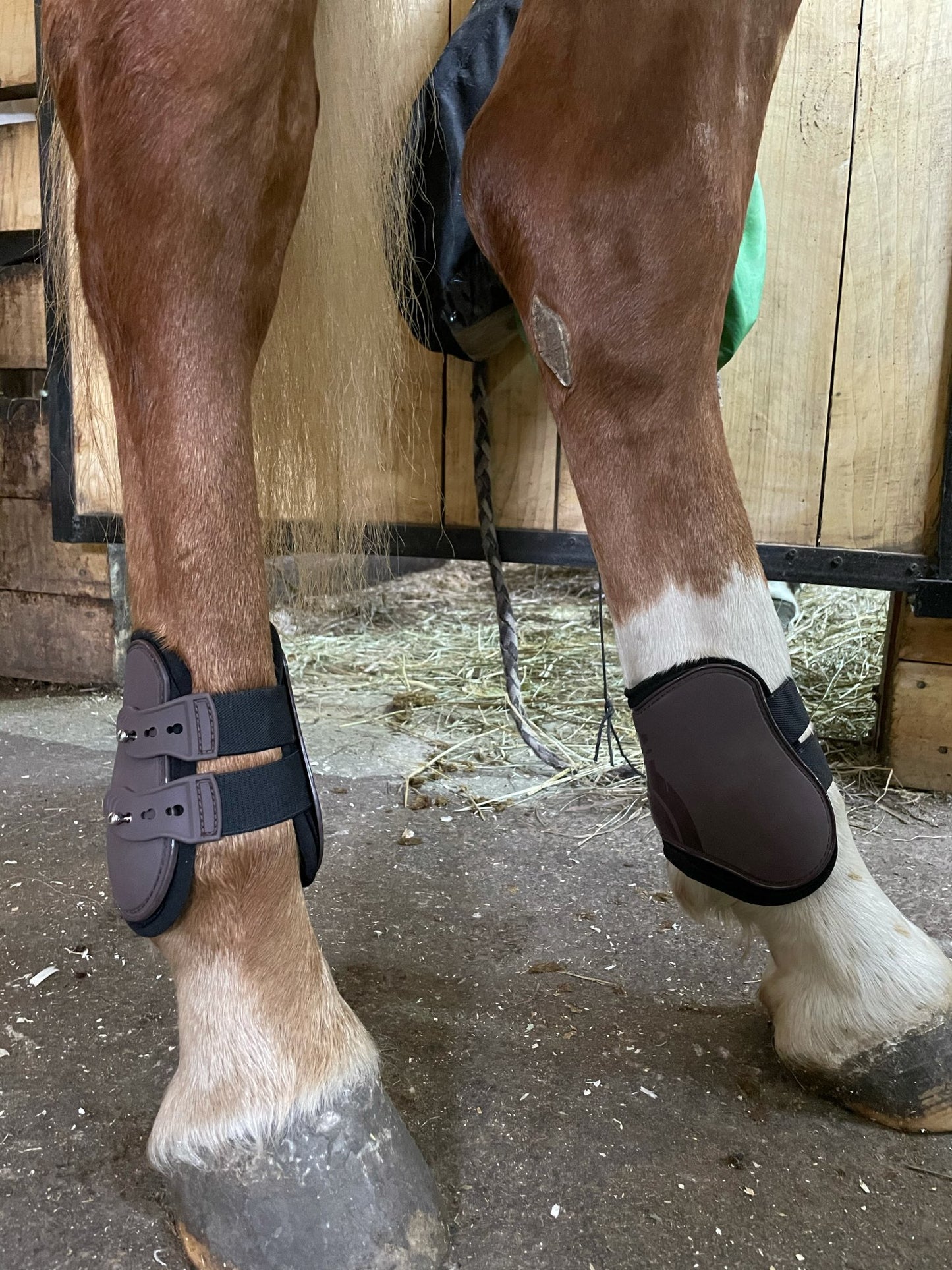 Horse Adjustable Hind Leg Boots