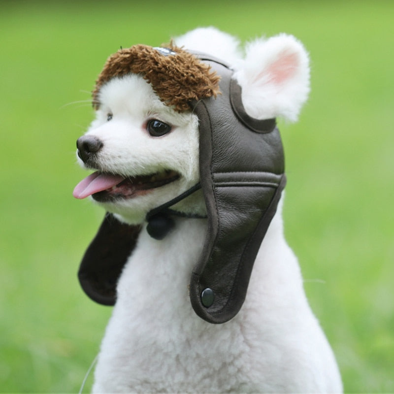 Winter Dog Hat