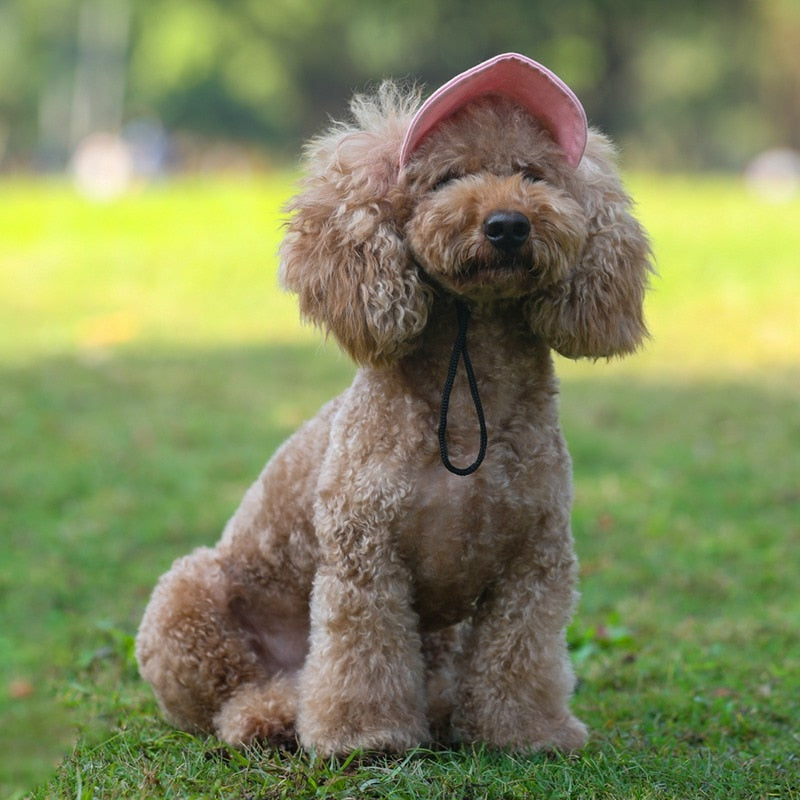 Dog Outdoor Hat