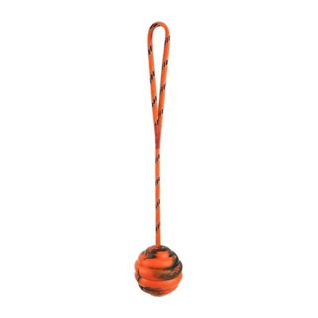 Rubber Ball Toy