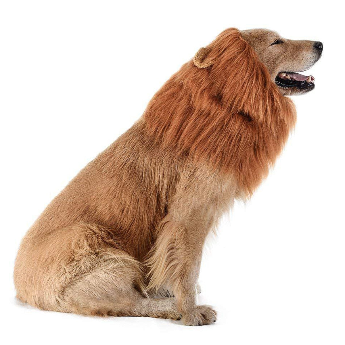 Lion Mane Wig Costume