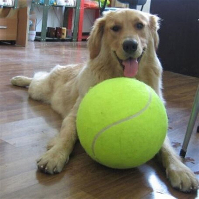 9.5 Inches Dog Toy Tennis Ball