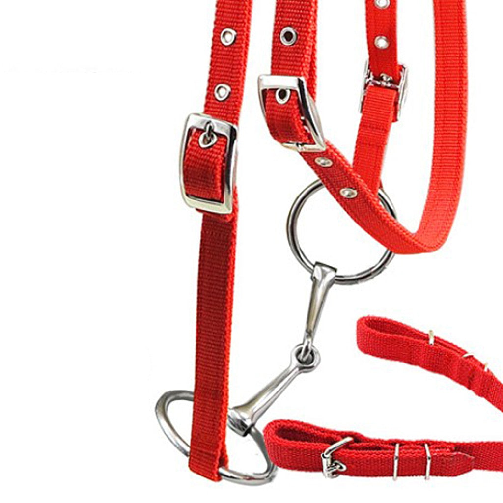 Nylon Horse Bridle