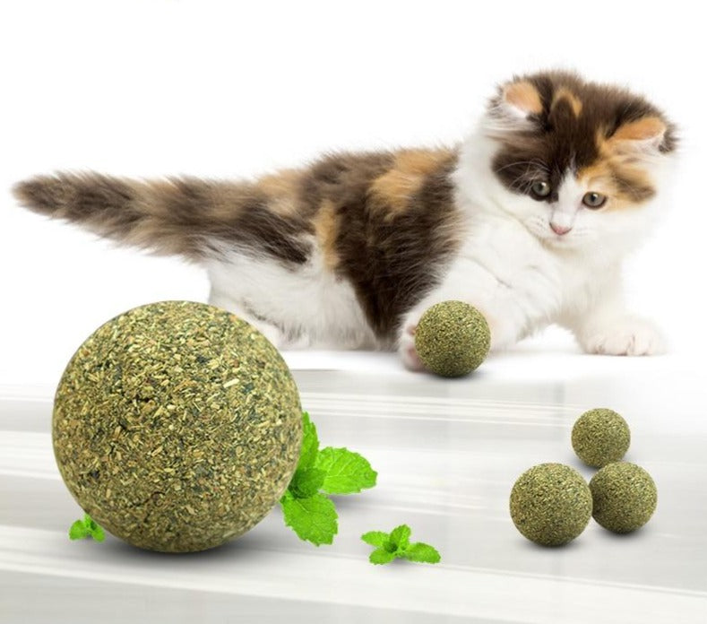 Natural Catnip Treat Balls Menthol Flavor