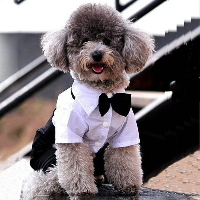 Dog Bow Tie Suit