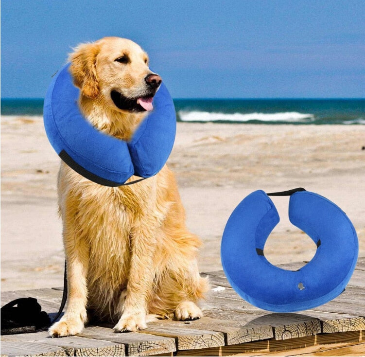 Inflatable Recovery Pet Collar