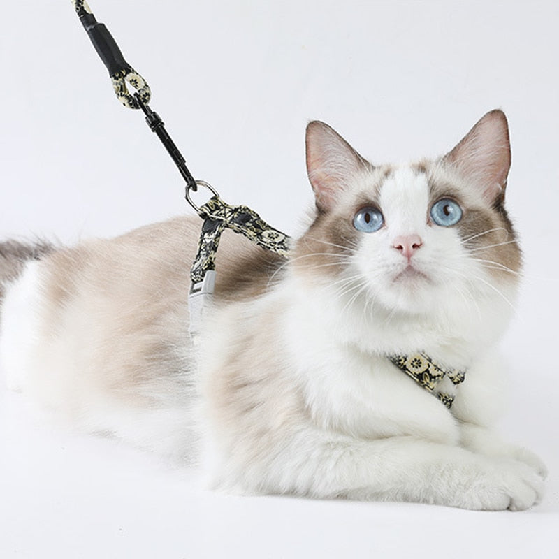 Quirky Cat Harness with Leash