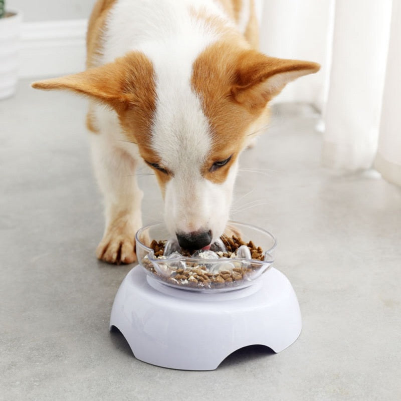 Slow Feeder Bowl for Pets