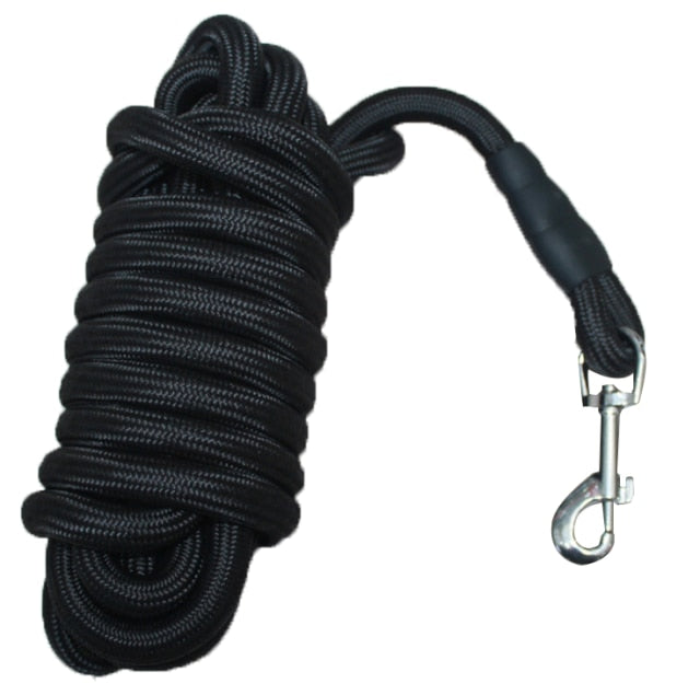 Nylon Dog Leash