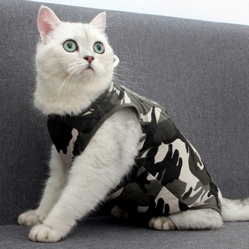 Anti-licking Postoperative Clothing for Cats