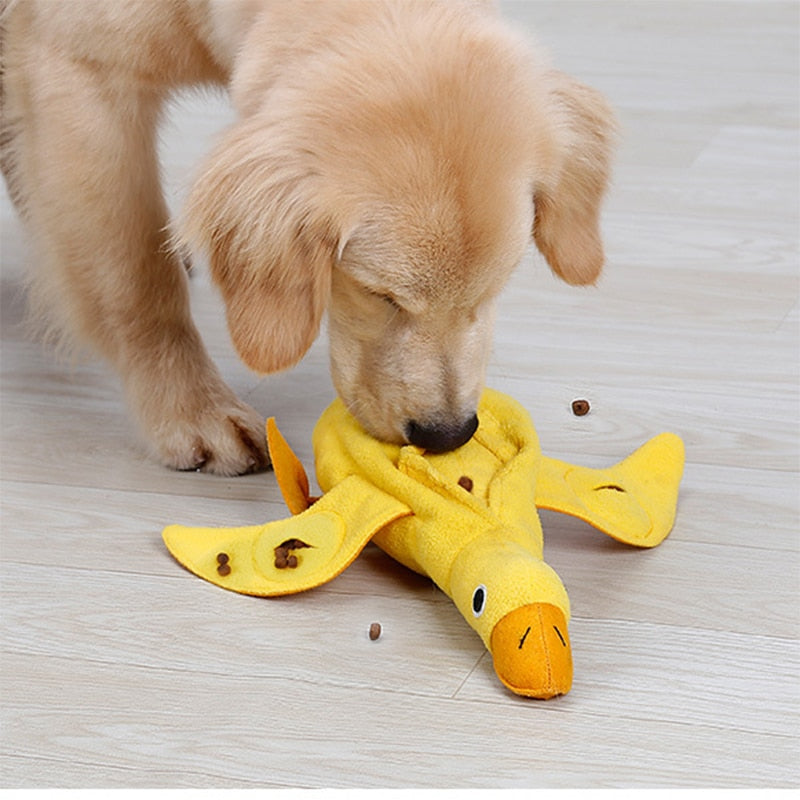 Duck Sniffing Pet Toy