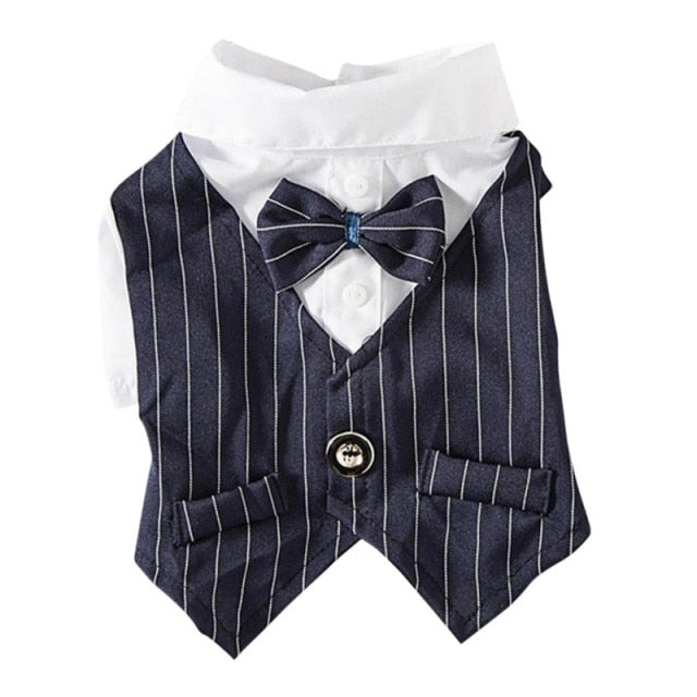 Pinstripe Suit Vest Set