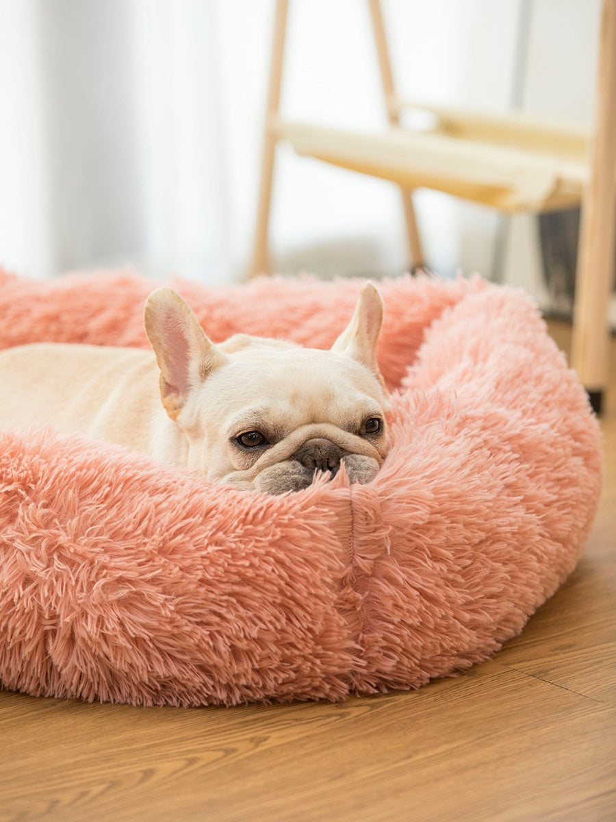 Square Comfy Calming Pet Bed