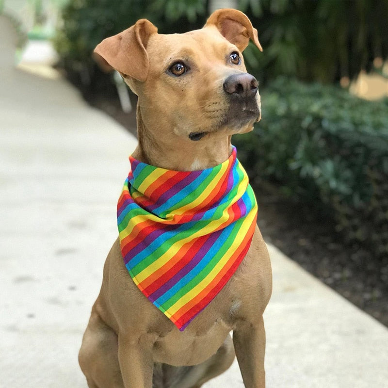 Pride Style Pet Bandanas