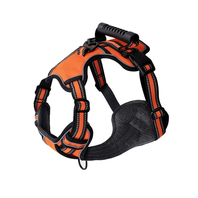 Outdoor Dog Harness