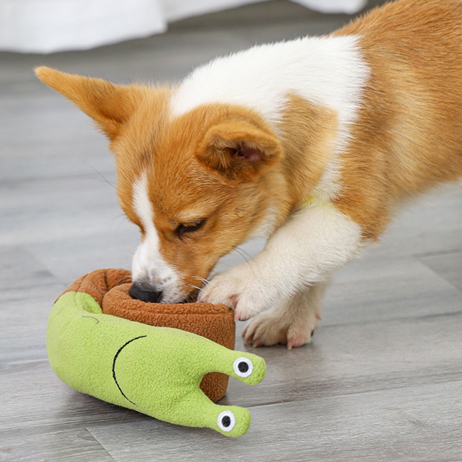 Dog Puzzle Snail Toy