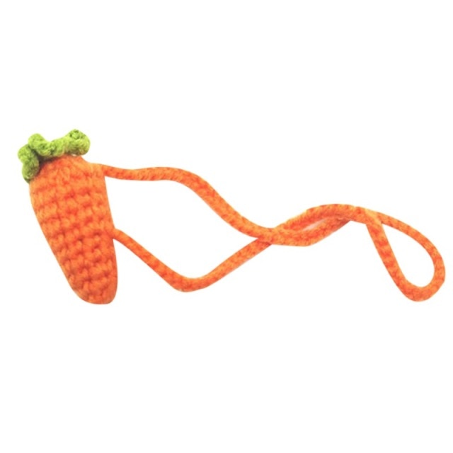 Small Pet Hat & Accessories