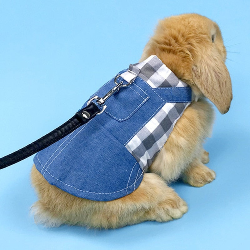 Small Pet Clothes Leash Set Strap Jeans Guinea Pig