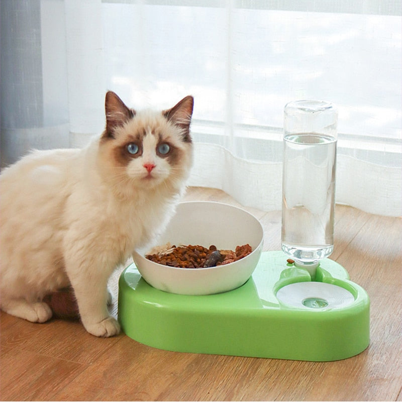2-in-1 Feeder Bowl with Automatic Water Dispenser