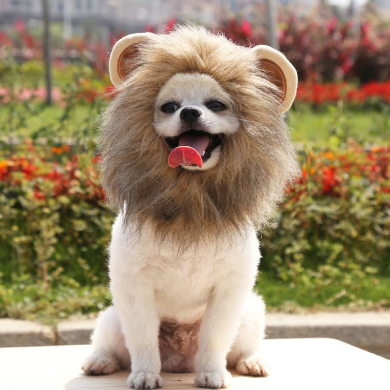 Lion's Mane Wig Halloween Costume