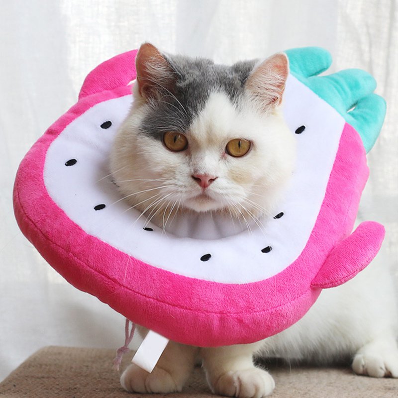 Fruit Shaped Recovery Pet Collar