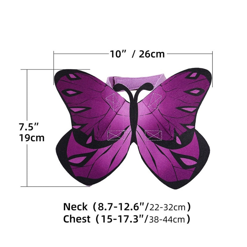 Butterfly Halloween Costume