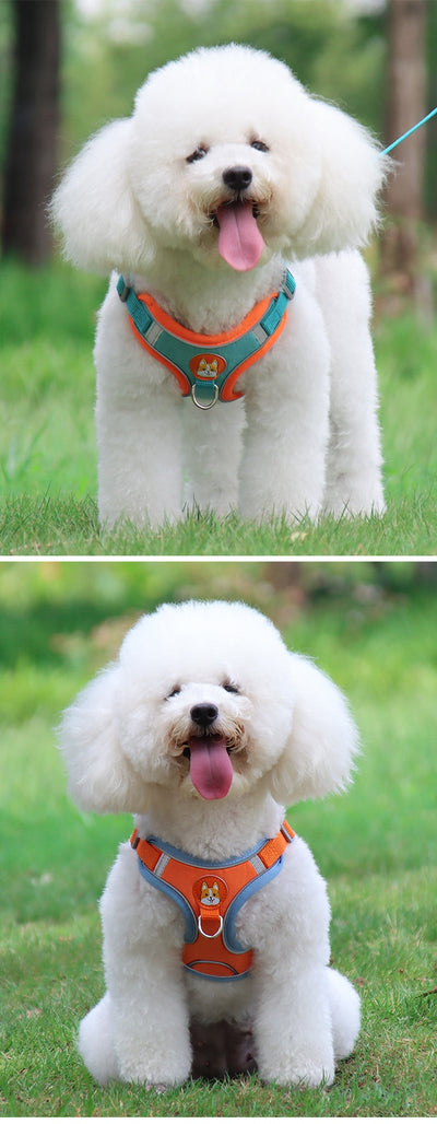Cute Pet Harness and Leash Set