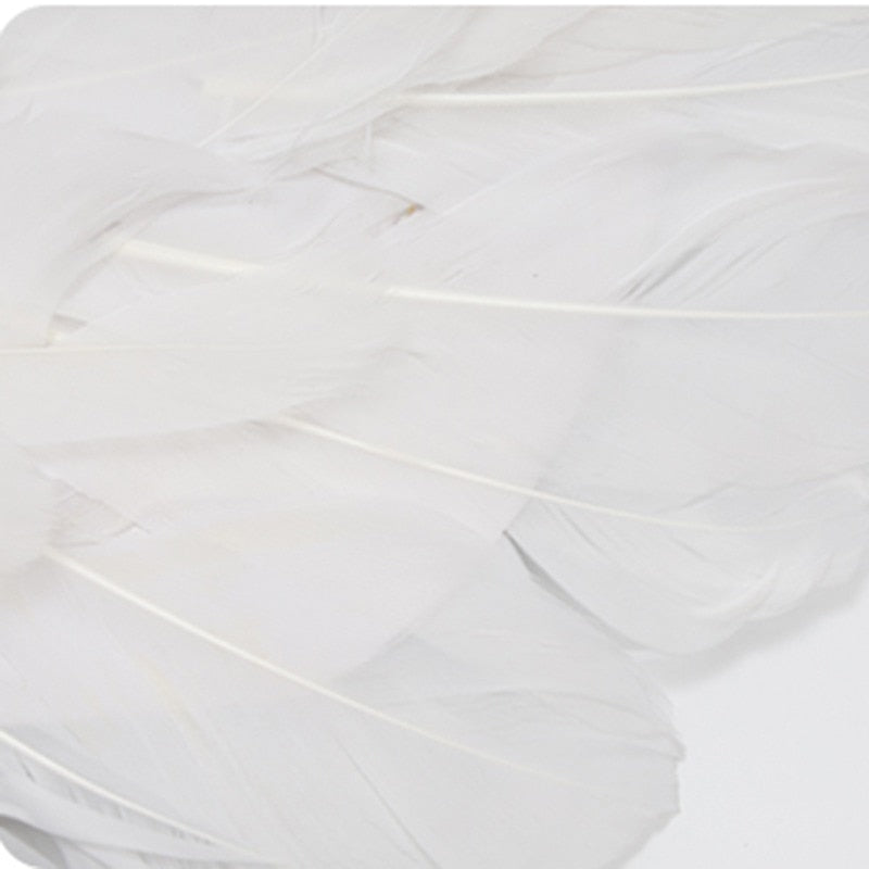 Feather Wings Halloween Costume