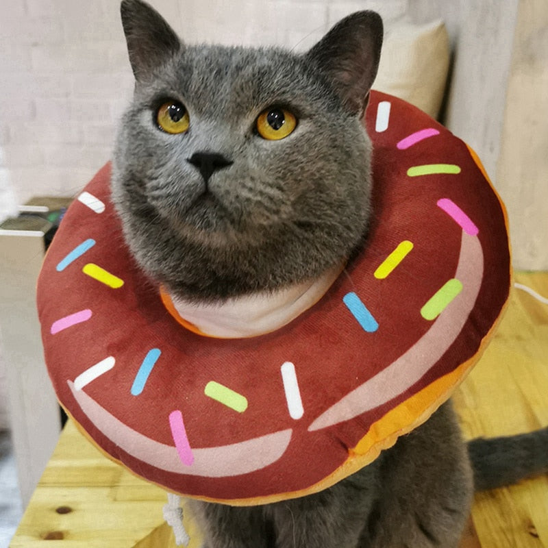 Donut Recovery Cat Collar
