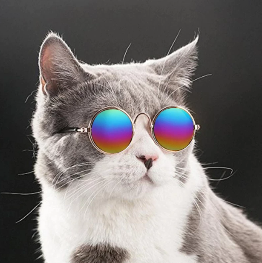 Retro Round Pet Sunglasses