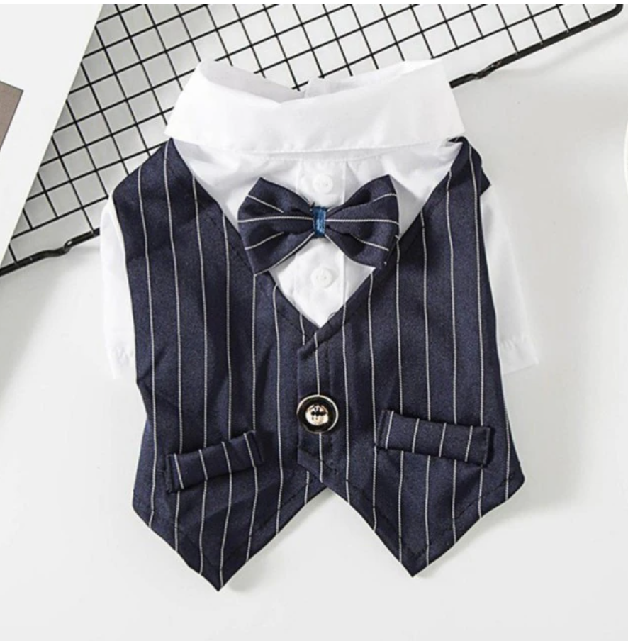 Pinstripe Suit Vest Set