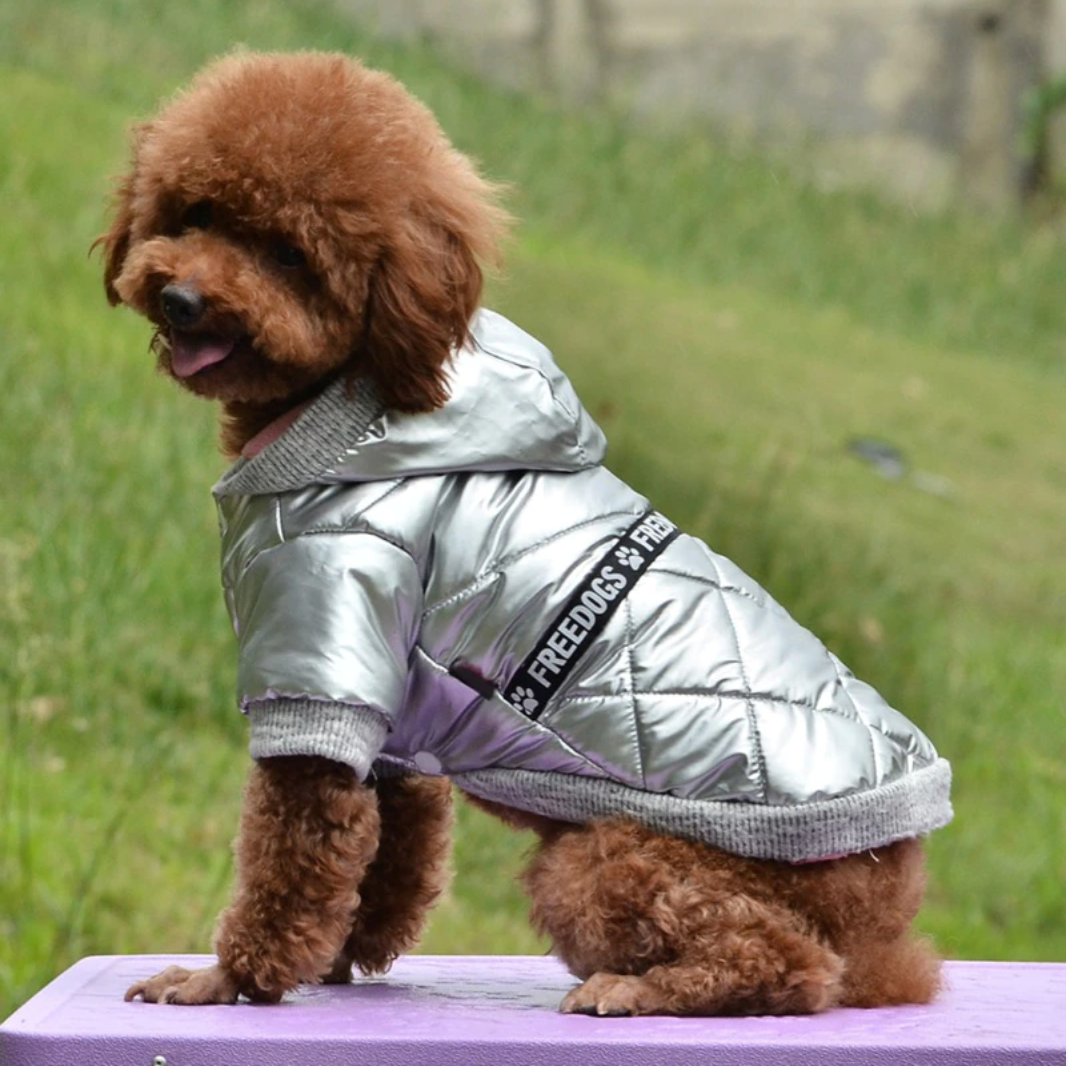 Metallic Winter Dog Vest and Hoodie