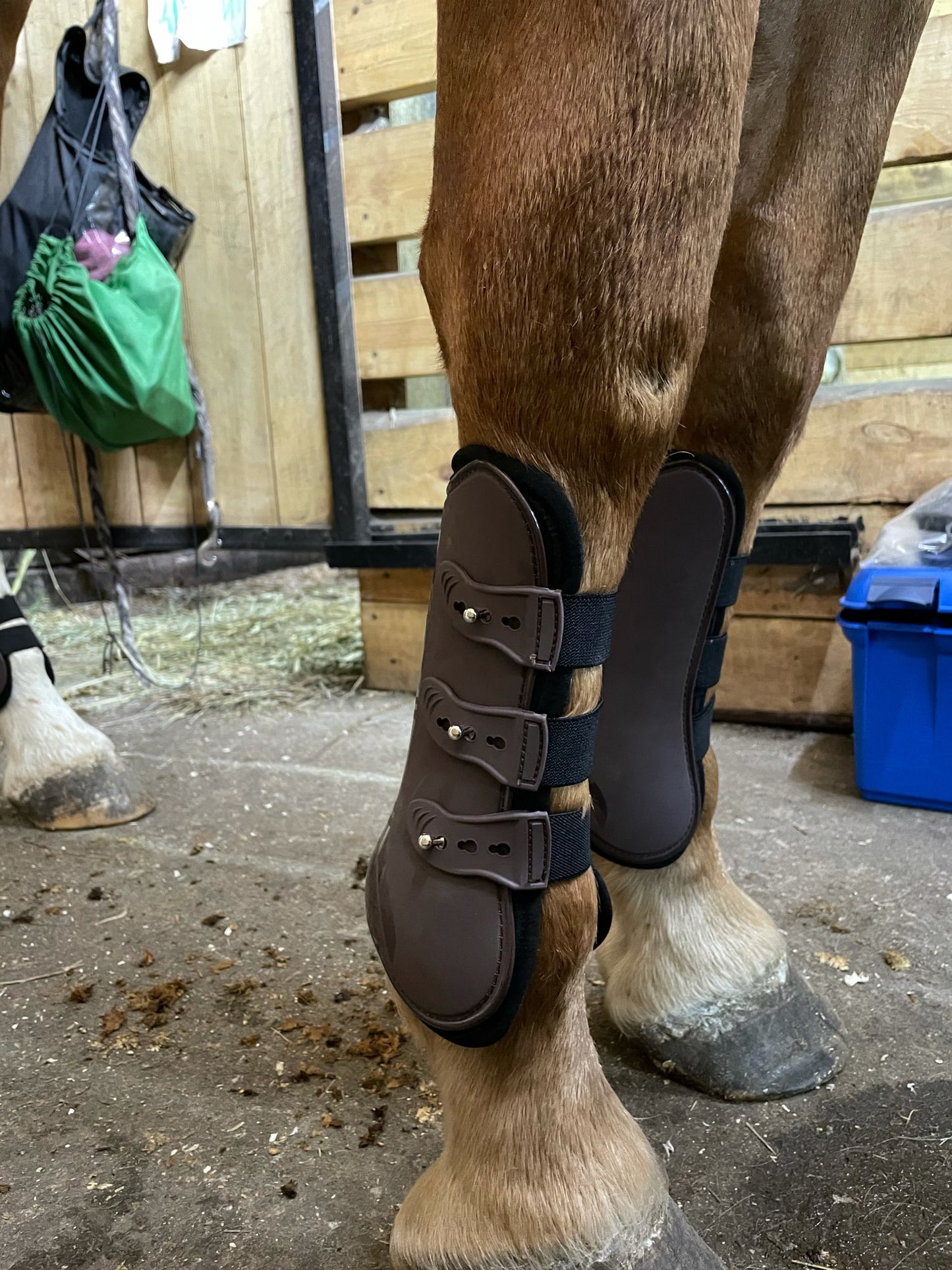 Horse Adjustable Hind Leg Boots