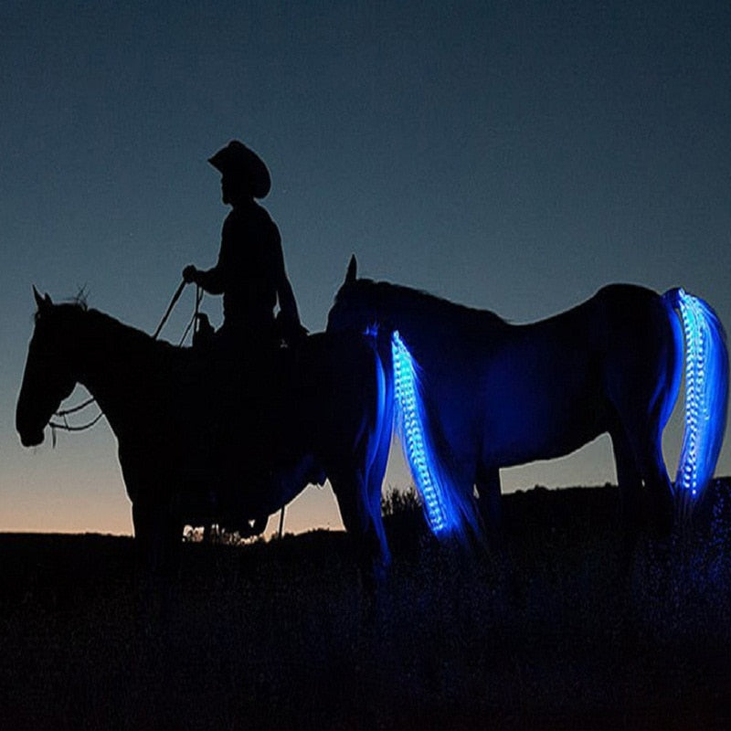 LED Horse Rear Light