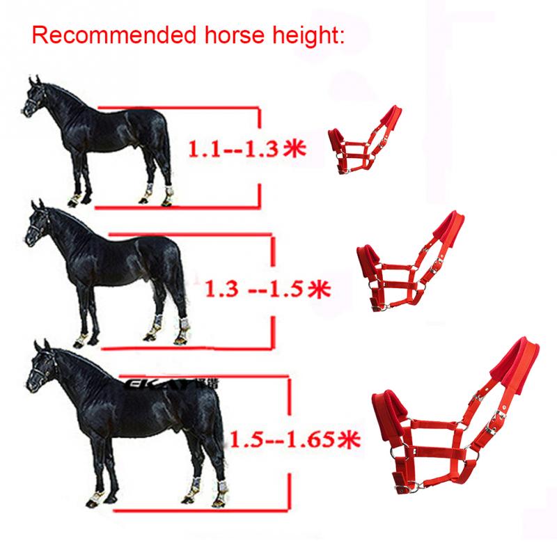 Adjustable Strap Fleece Padded Horse Halter