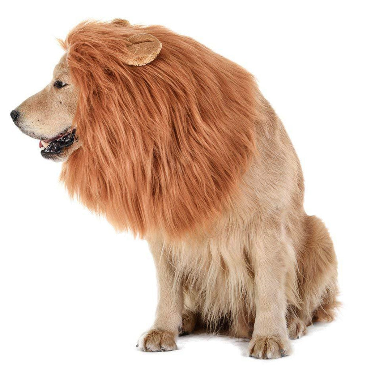 Lion Mane Wig Costume