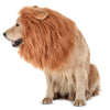 Lion Mane Wig Costume