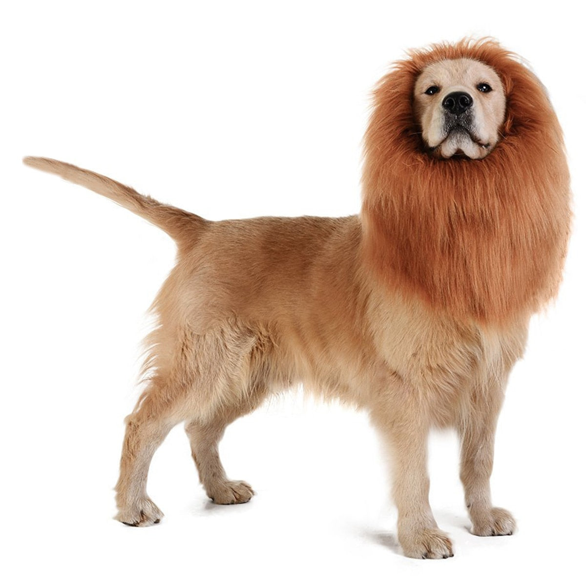 Lion Mane Wig Costume