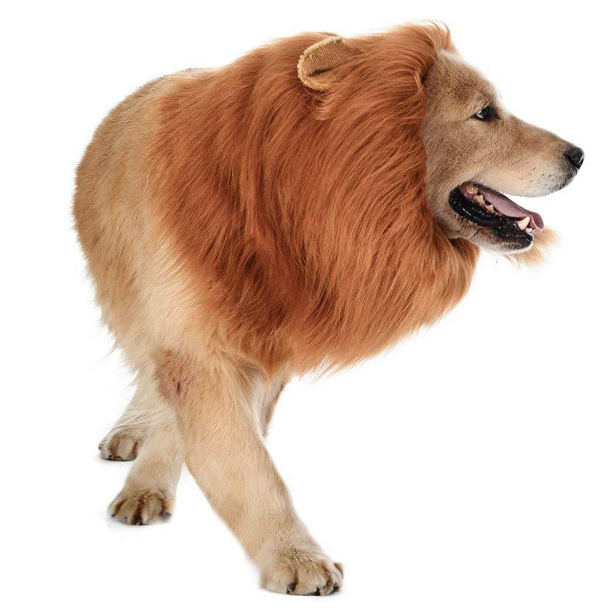 Lion Mane Wig Costume