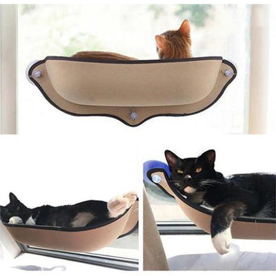 Cat Window Mounted Bed