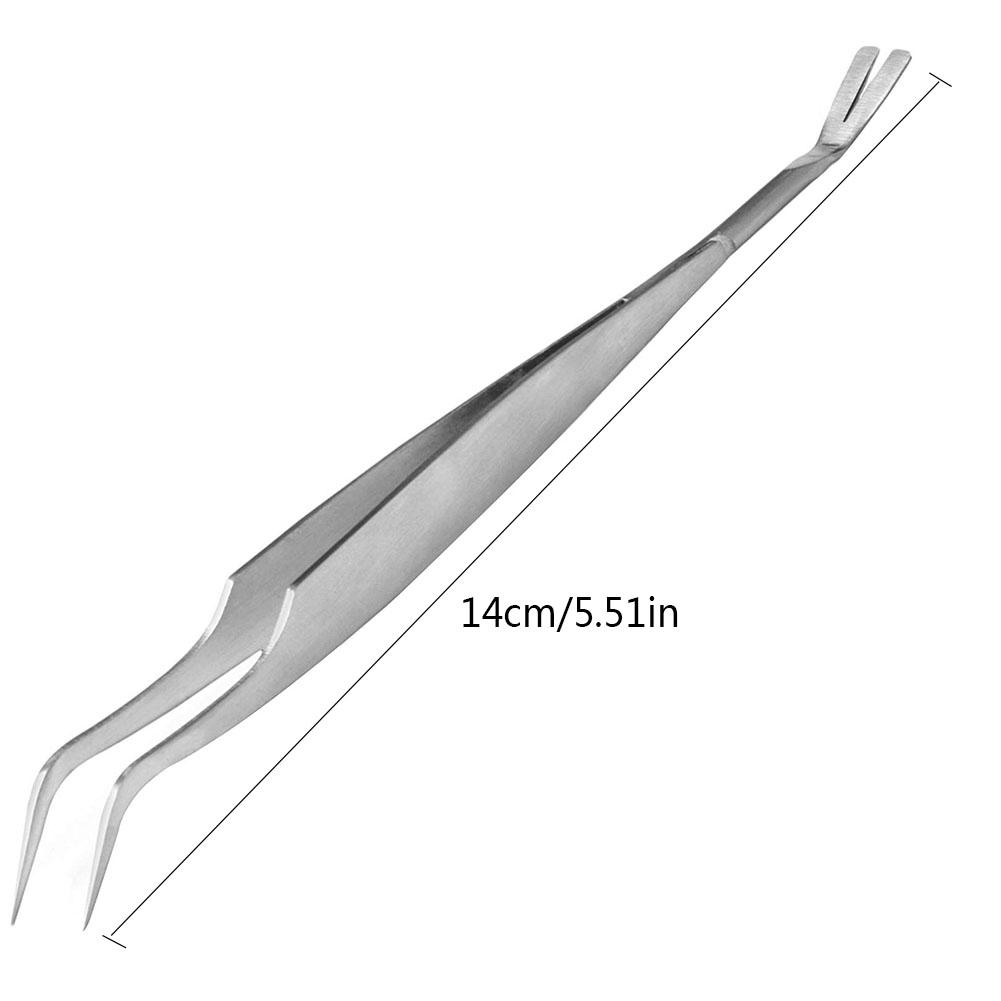 2 In 1 Stainless Steel Tick Removal Tweezers