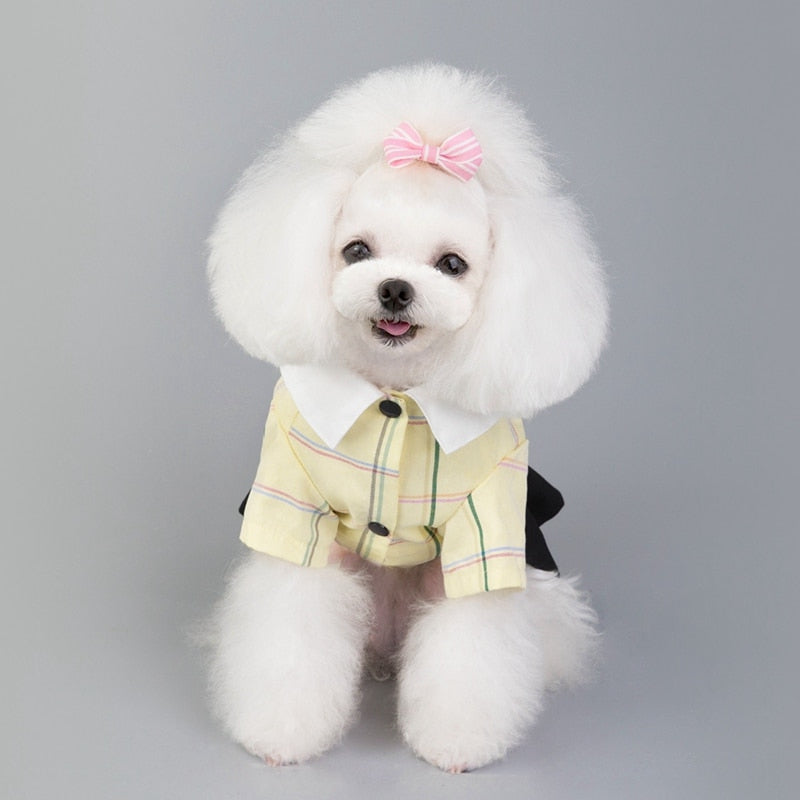 Plaid Bowtie Preppy Suit and Dress