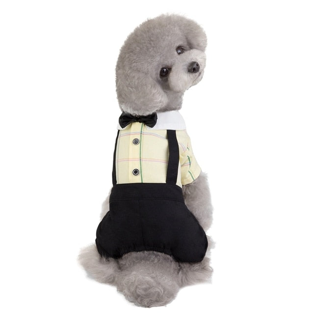 Plaid Bowtie Preppy Suit and Dress