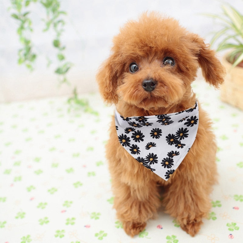 Floral Bandana Scarf