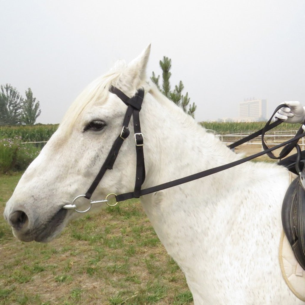 Nylon Horse Bridle