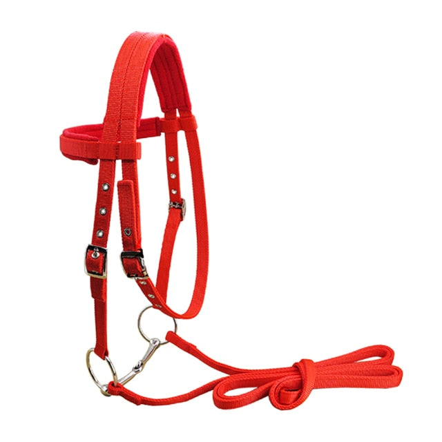 Nylon Horse Bridle