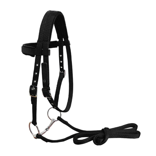Nylon Horse Bridle