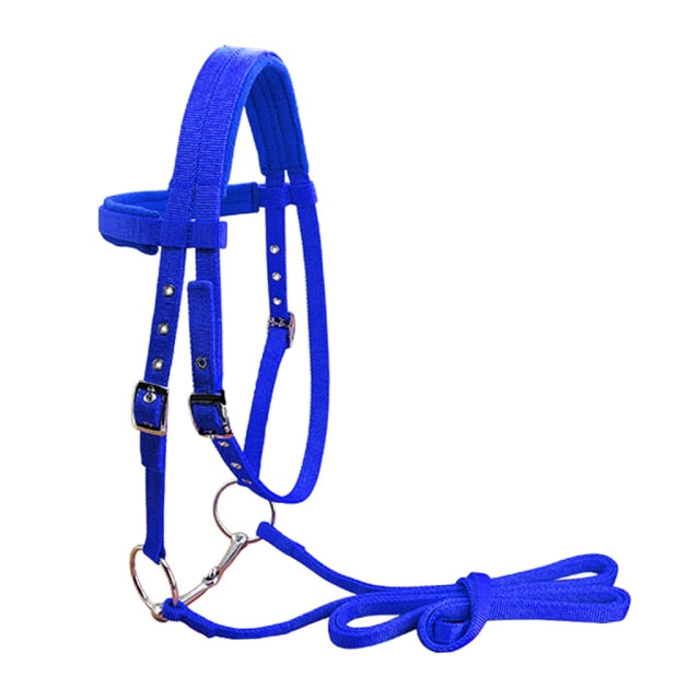 Nylon Horse Bridle