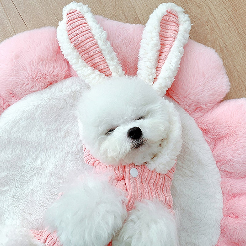 Winter Bunny Halloween Dog Costume