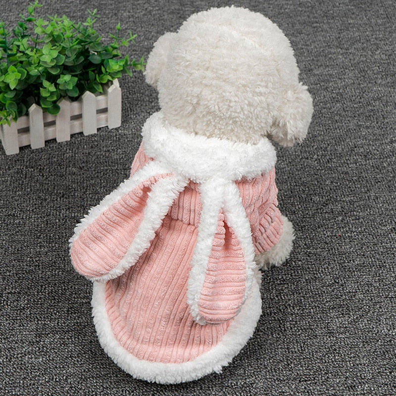 Winter Bunny Halloween Dog Costume